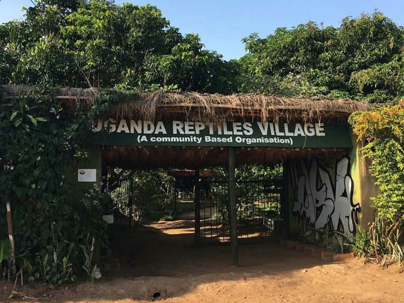 Uganda-Reptile-Village